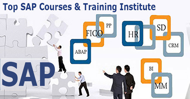 Best Sap Training Institute